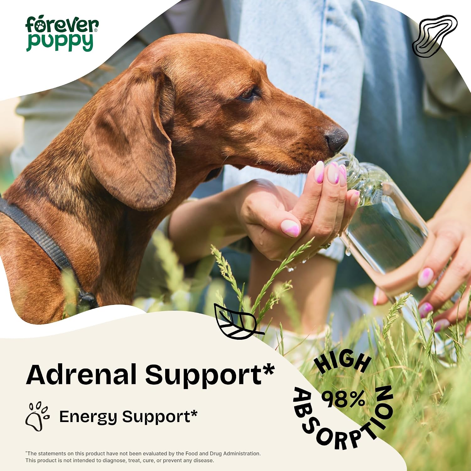 Forever Puppy Adrenal Support Drops para Perros - Gotas de Ashwagandha y Ginseng para Apoyo Adrenal y Energía - Suplemento Líquido Calmante - 60 ml