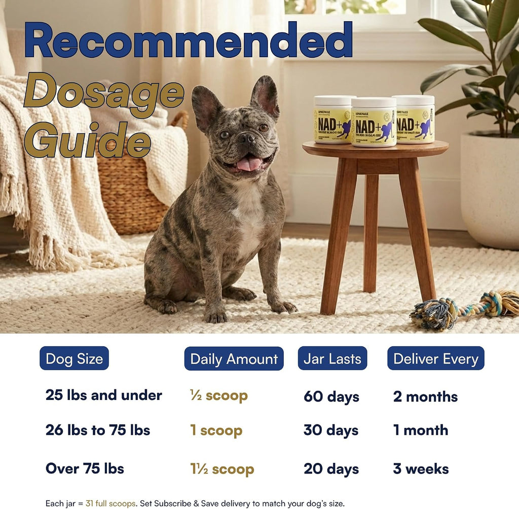 LongTails NAD+ para perros mayores - Alternativa NMN, 200mg NR en polvo