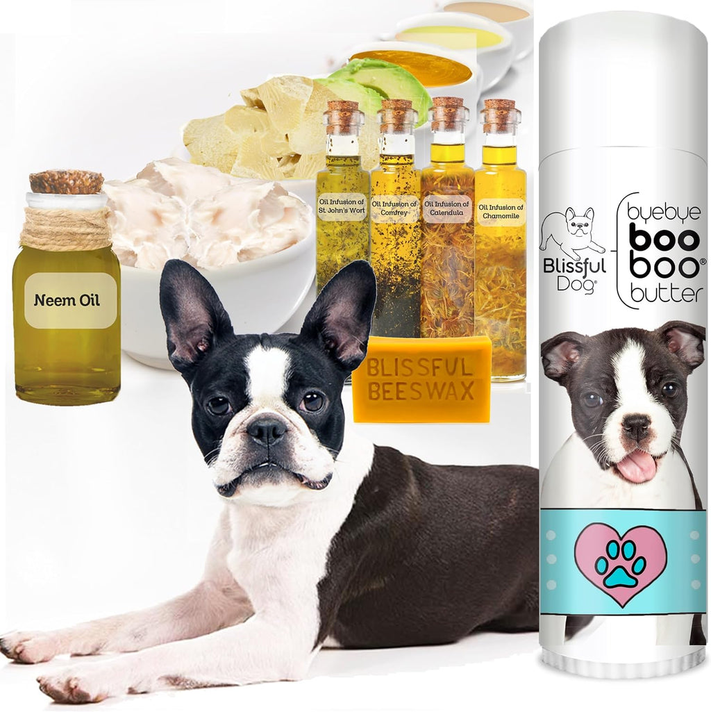The Blissful Dog Tubo de .50 oz de Mantequilla Booboo para Boston Terrier