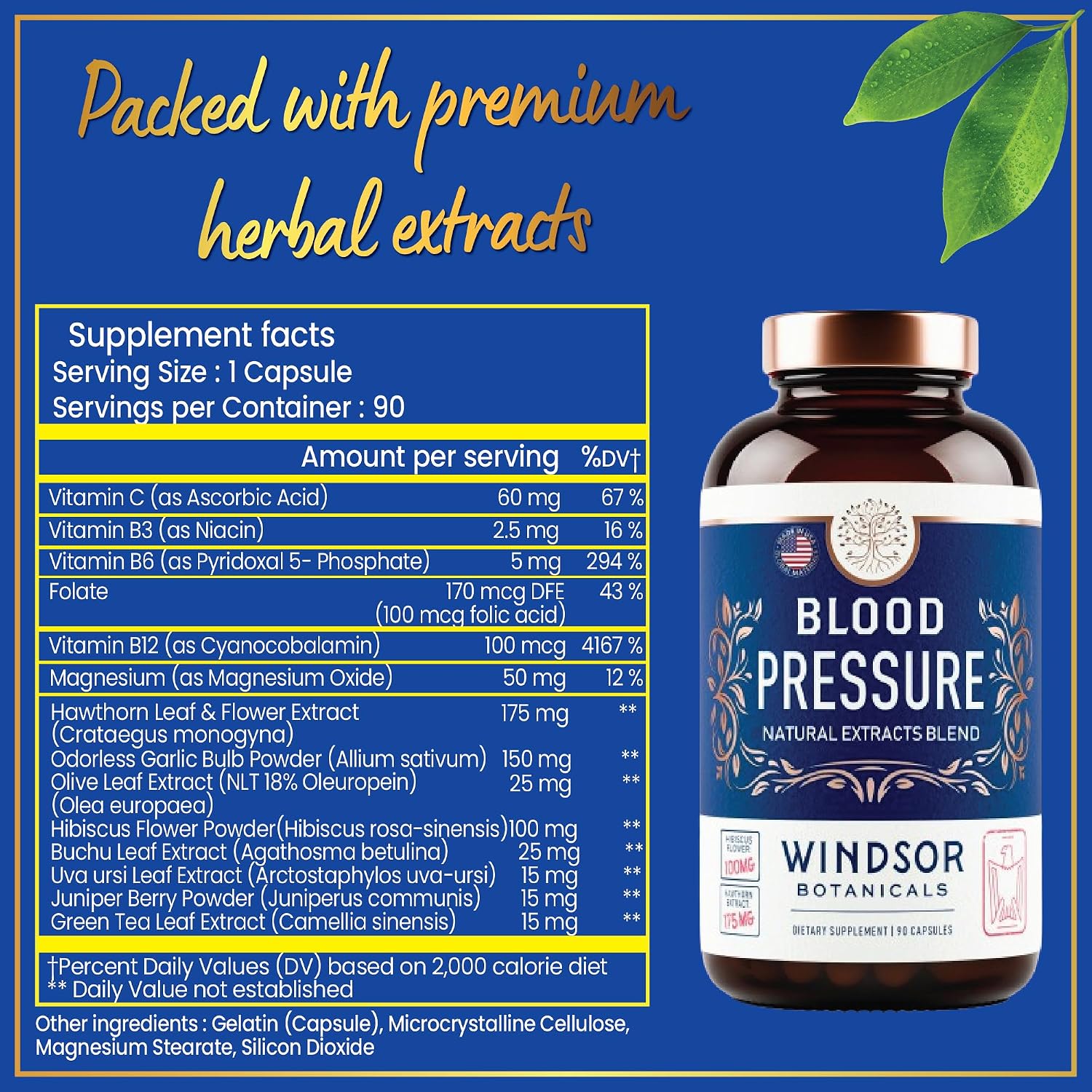 Blood Pressure Support – Suplemento para la presión arterial con té verde, hibisco, espino blanco y ajo – 90 cápsulas