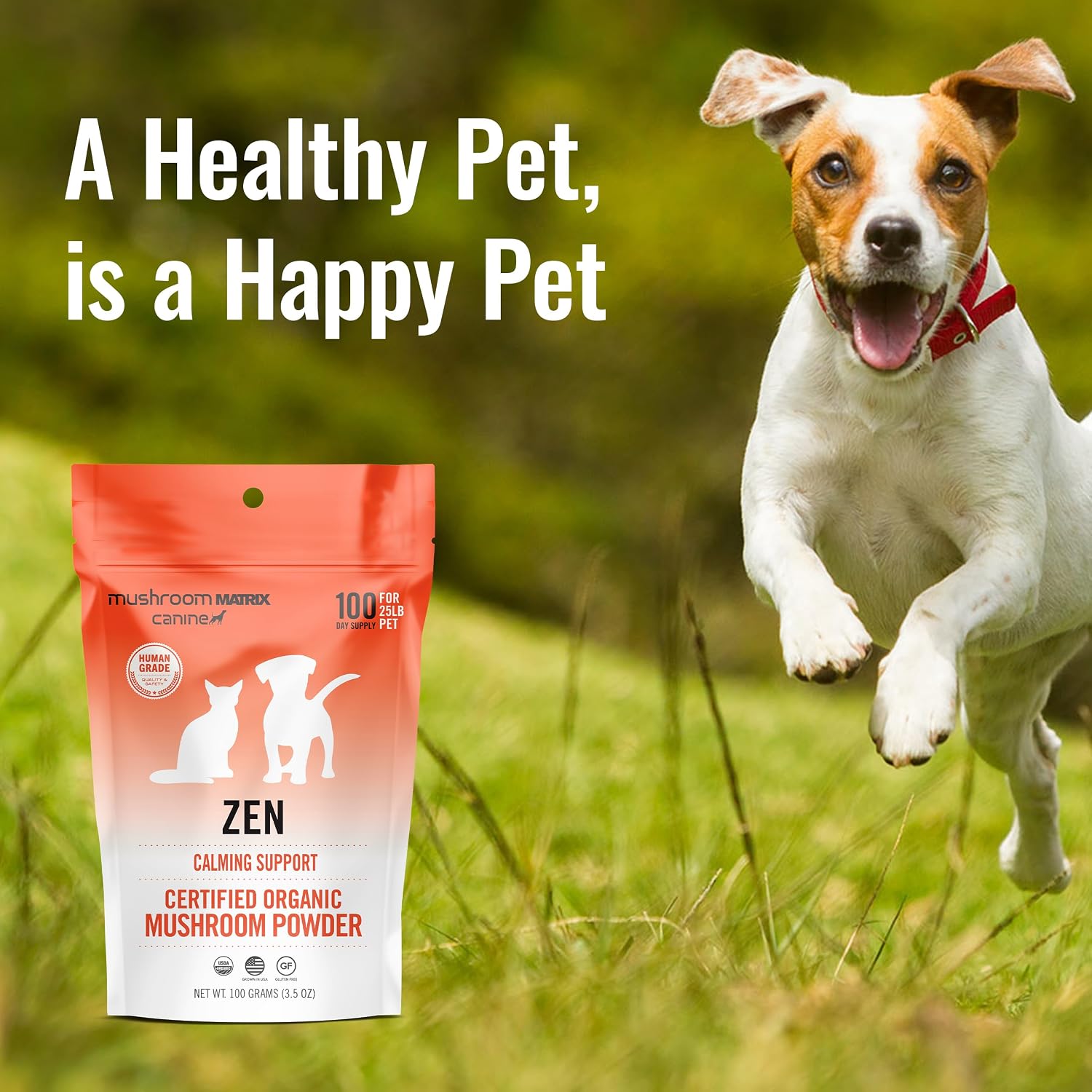 Om Mushroom Matrix Pet – Mezcla de Hongos Zen para Perros y Gatos – Polvo Orgánico 100g