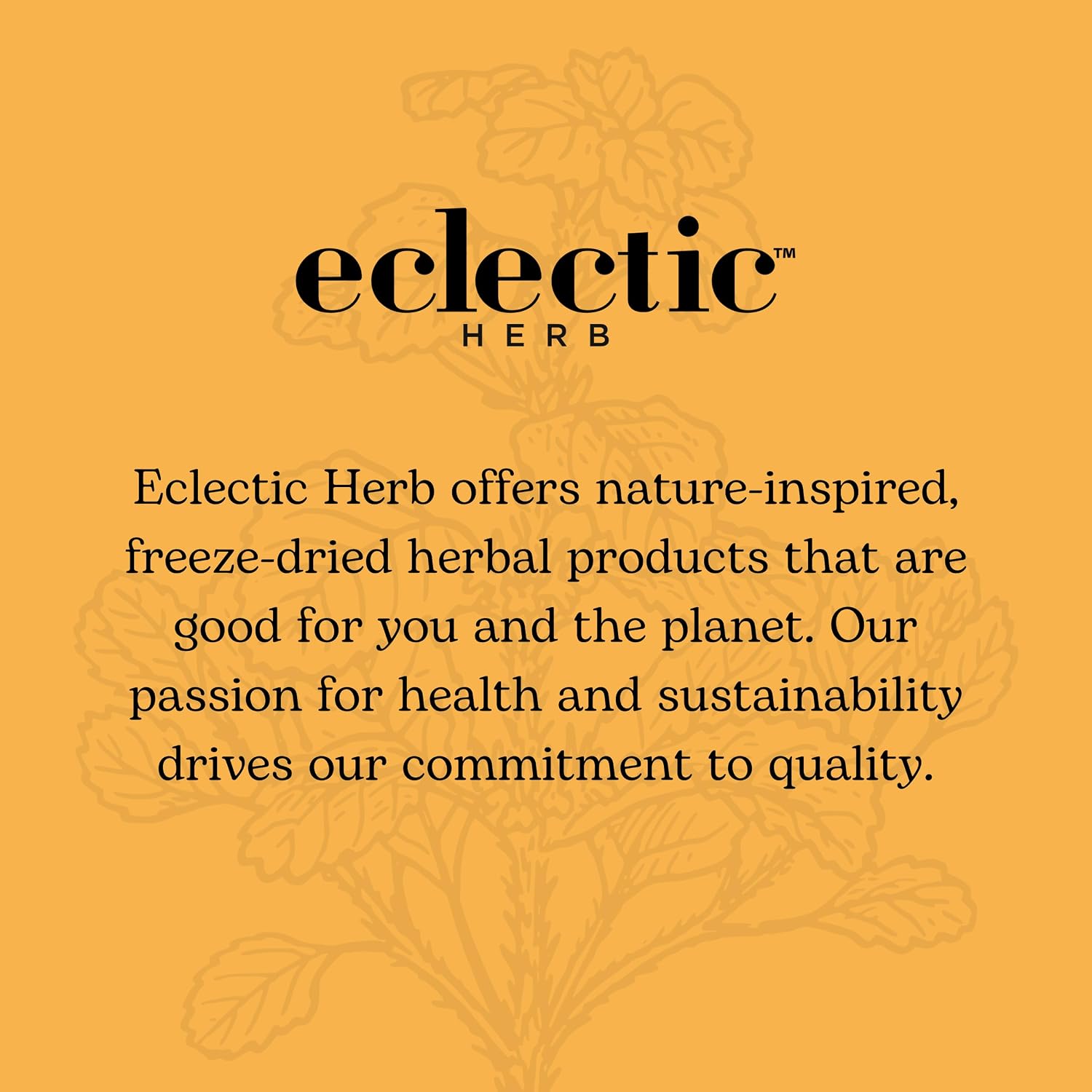 Eclectic Institute Propolis G, Naranja, 60 ml