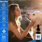 Líquido de Vitamina B-12 para Perros y Gatos - Metilcobalamina (Methyl B12) - Energía, Apetito y Estado de Ánimo