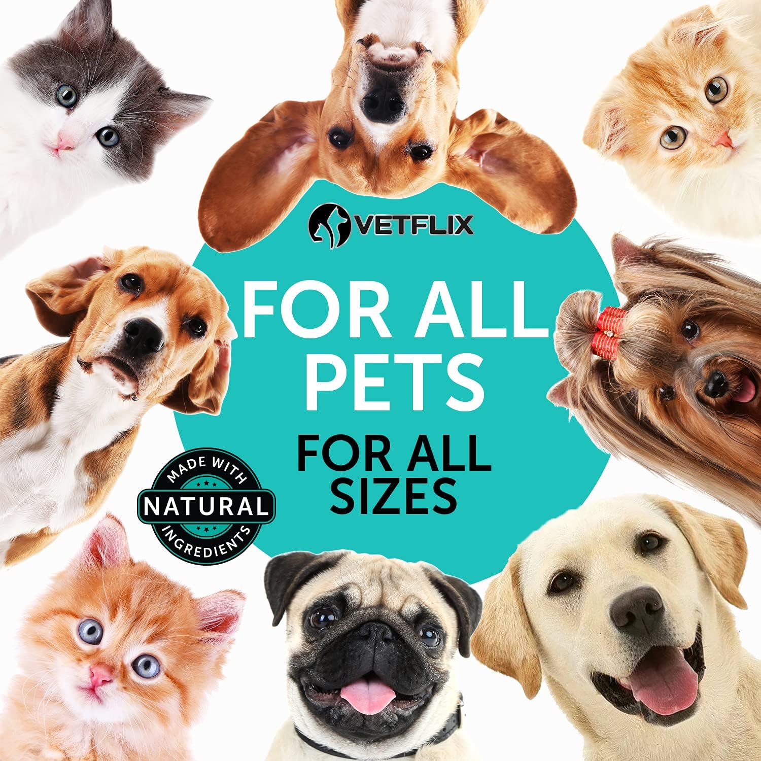 Probióticos Líquidos Premium para Perros, Gatos, Cachorros y Gatitos, 60 ml - Vetflix