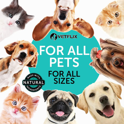 Probióticos Líquidos Premium para Perros, – Formato líquido: Fácil de dosificar y administrar, ideal para mascotas – Image 8