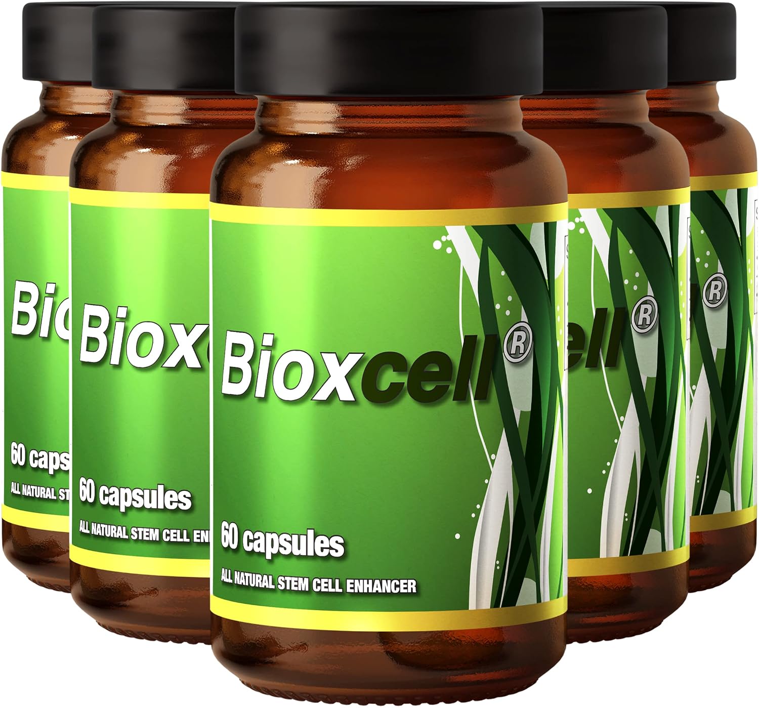 Bioxcell Stem Cell Enhancer - 60 Cápsulas (Pack de 12)