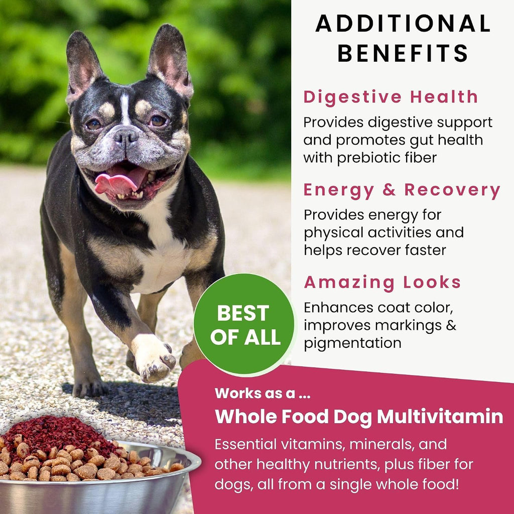 Olewo Remolacha Roja para Perros Granulado – Complemento Alimenticio para Apoyo Interno, Sensibilidad de la Piel y Equilibrio General, Fibra Prebiótica y Nutrientes de Alimentos Integrales, 623 g