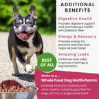 Olewo Remolacha Roja para Perros Granulado – Complemento Alimenticio para Apoyo Interno, Sensibilidad de la Piel y Equilibrio General, Fibra Prebiótica y Nutrientes de Alimentos Integrales, 623 g