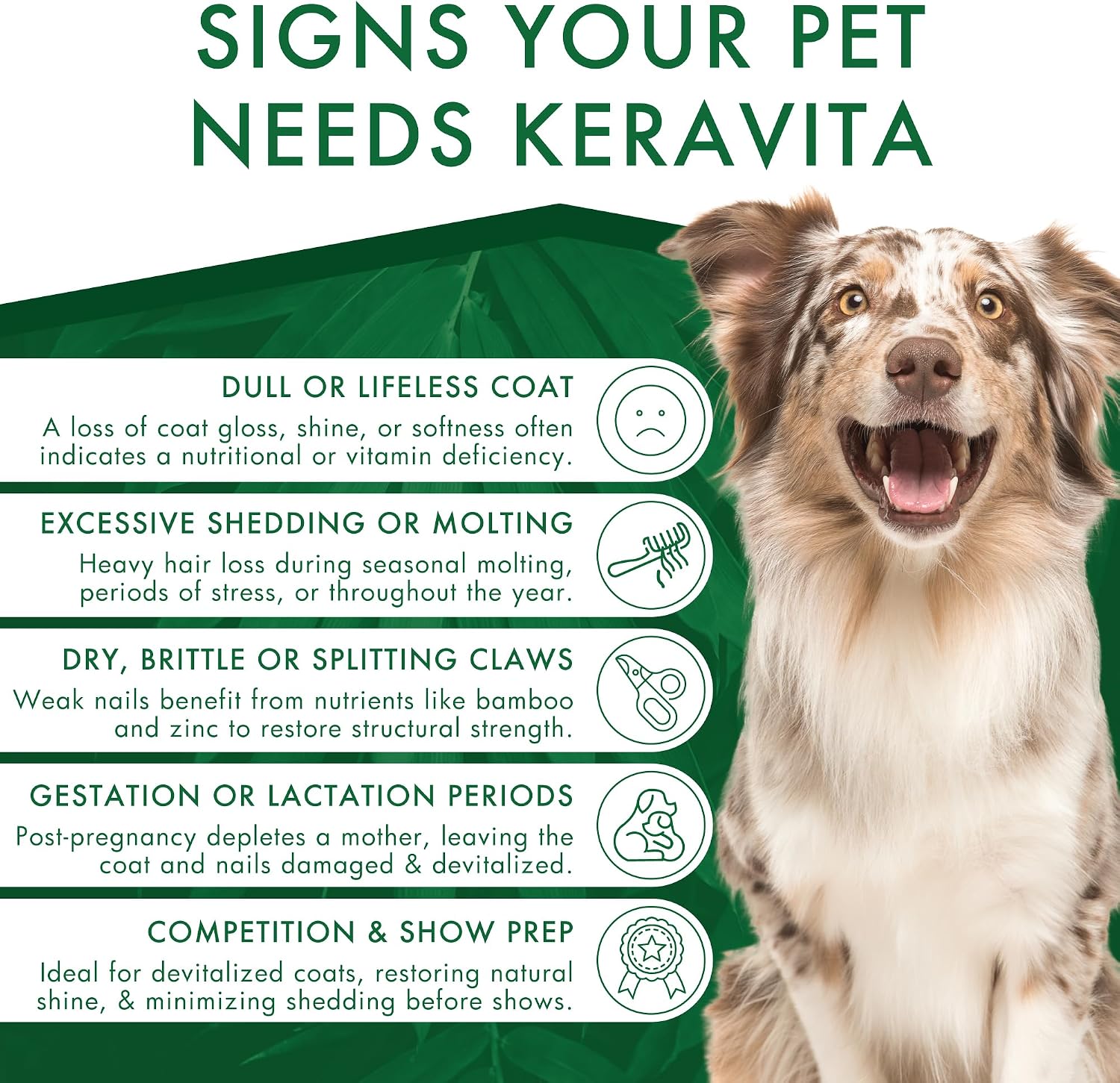Dermoscent Keravita® Suplemento Alimenticio para la Piel y el Pelaje de Perros y Gatos - 30 Comprimidos Sabor a Pollo