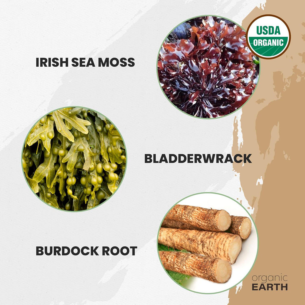 Organic Earth Irish Sea Moss en Polvo Orgánico con Bladderwrack y Bardana - 227g