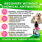 Kennel Cough Drops - Gotas Herbales para Perros y Gatos (60ml)