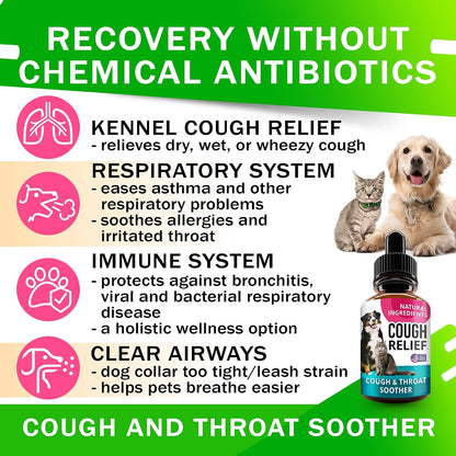 Kennel Cough Drops - Gotas Herbales para – Raíz de malvavisco: Tradicionalmente utilizada para aliviar la – Image 2