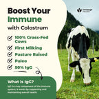 Super Colostrum en Polvo – Calostro Bovino Premium (60 Dosis)