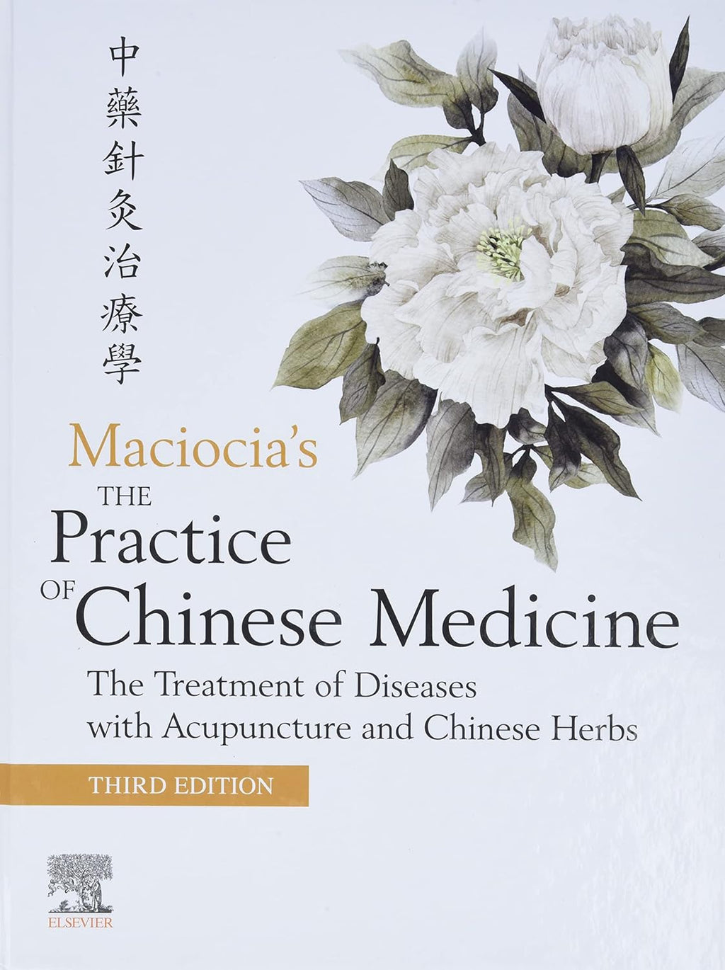 The Practice of Chinese Medicine: Treating Illnesses with Acupuncture and Chinese Herbs