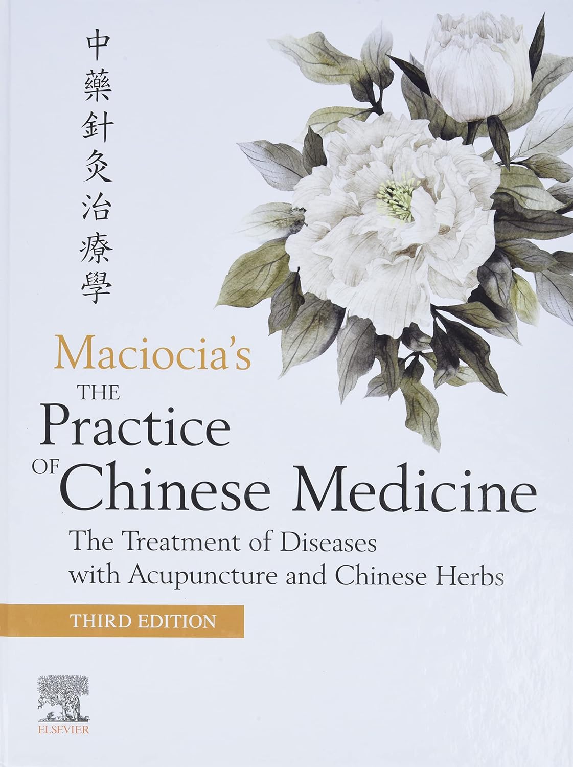 The Practice of Chinese Medicine: Treating Illnesses with Acupuncture and Chinese Herbs