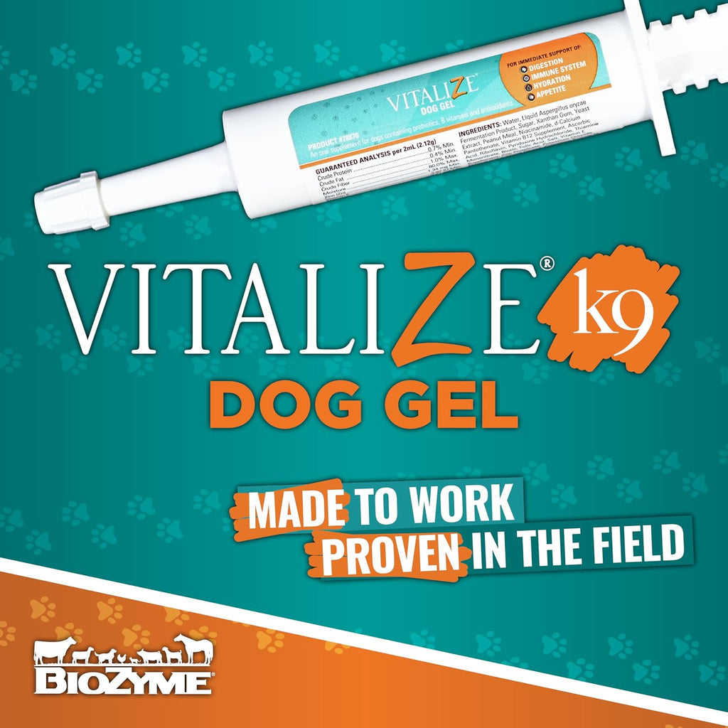 Vitalize Dog Gel, 15 ml - Suplemento de recuperación quirúrgica y apoyo inmunológico para perros pequeños - Sabor a mantequilla de maní con vitaminas, aminoácidos y prebiótico para la salud digestiva y la curación