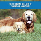 Remedy - Dog Balm con Aceite de Cáñamo - Bálsamo Natural para Perros