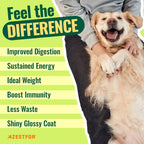 Polvo Pre-Mezcla de Vitaminas para Comida Casera de Perros – 24 Nutrientes Esenciales – Suplemento para Raw, BARF y Sin Granos – Todas las Razas y Edades – 16 oz Sabor Vegetal