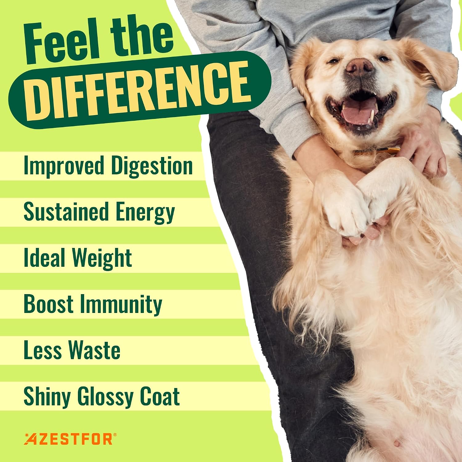 Polvo Pre-Mezcla de Vitaminas para Comida Casera de Perros – 24 Nutrientes Esenciales – Suplemento para Raw, BARF y Sin Granos – Todas las Razas y Edades – 16 oz Sabor Vegetal