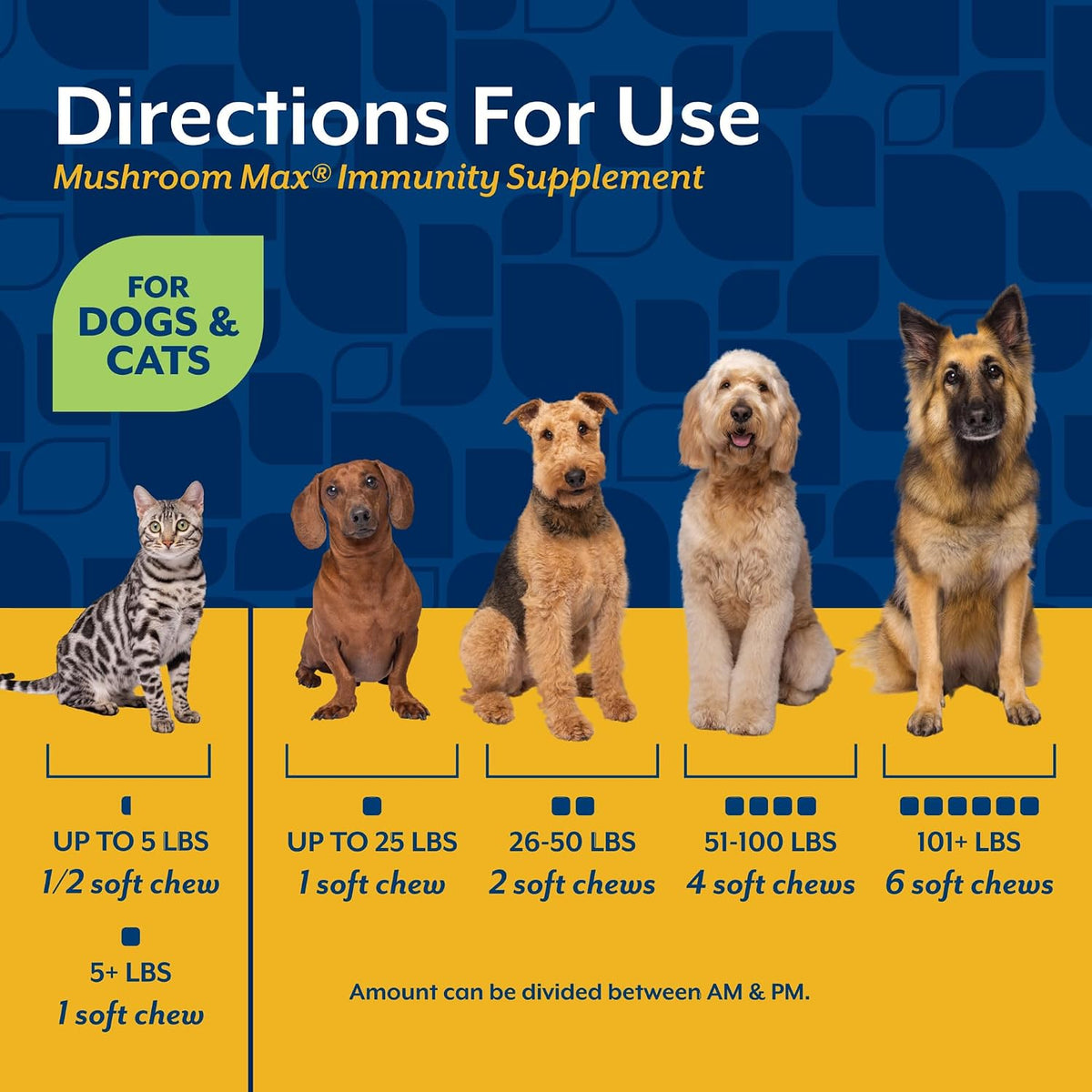 NaturVet Mushroom Max Suplemento – Cola de pavo (Trametes versicolor): Destaca por su contenido en polisacárido-K – Image 6