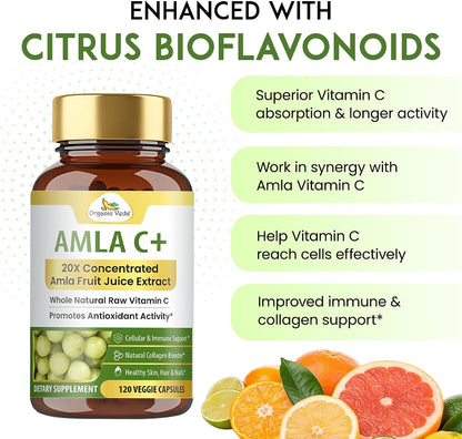 Organic Veda Amla + Cápsulas - Extracto Concentrado de Amla 20X con Vitamina C Natural – Image 4