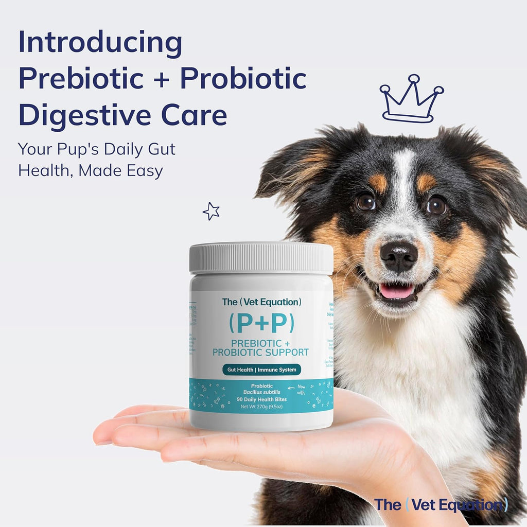 The Vet Equation Probióticos y Prebióticos para Perros – Masticables Digestivos – Sabor Pato Natural – 90 Unidades