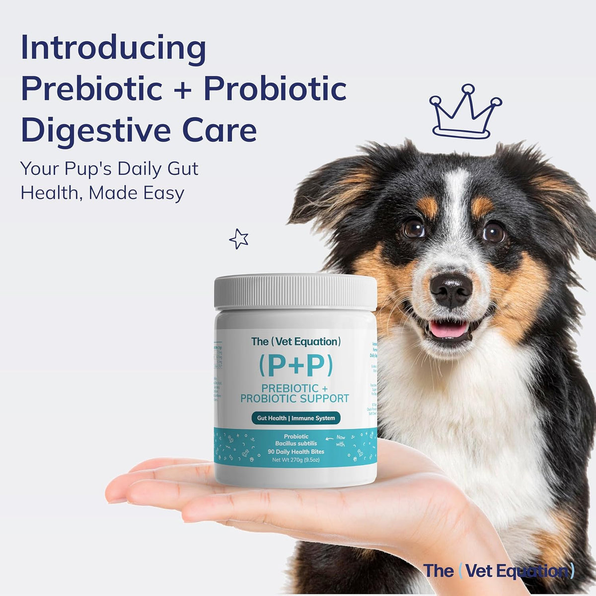The Vet Equation Probióticos y Prebióticos para Perros – Masticables Digestivos – Sabor Pato Natural – 90 Unidades – Image 2