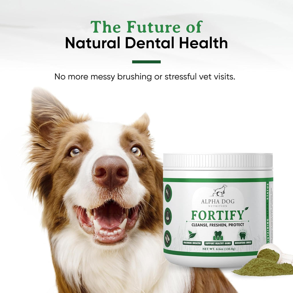Fortify Dental Powder - Polvo dental para perros con algas y probióticos