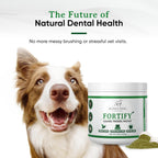 Fortify Dental Powder - Polvo dental para perros con algas y probióticos