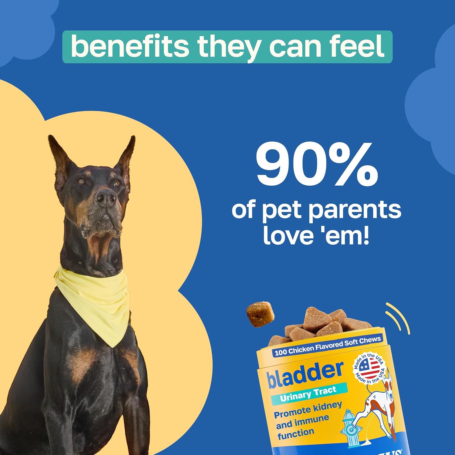 Happy Paws Suplemento de Vejiga para Perros con Arándano y Antioxidantes - 100 Masticables Blandos Sabor Pollo Vegano