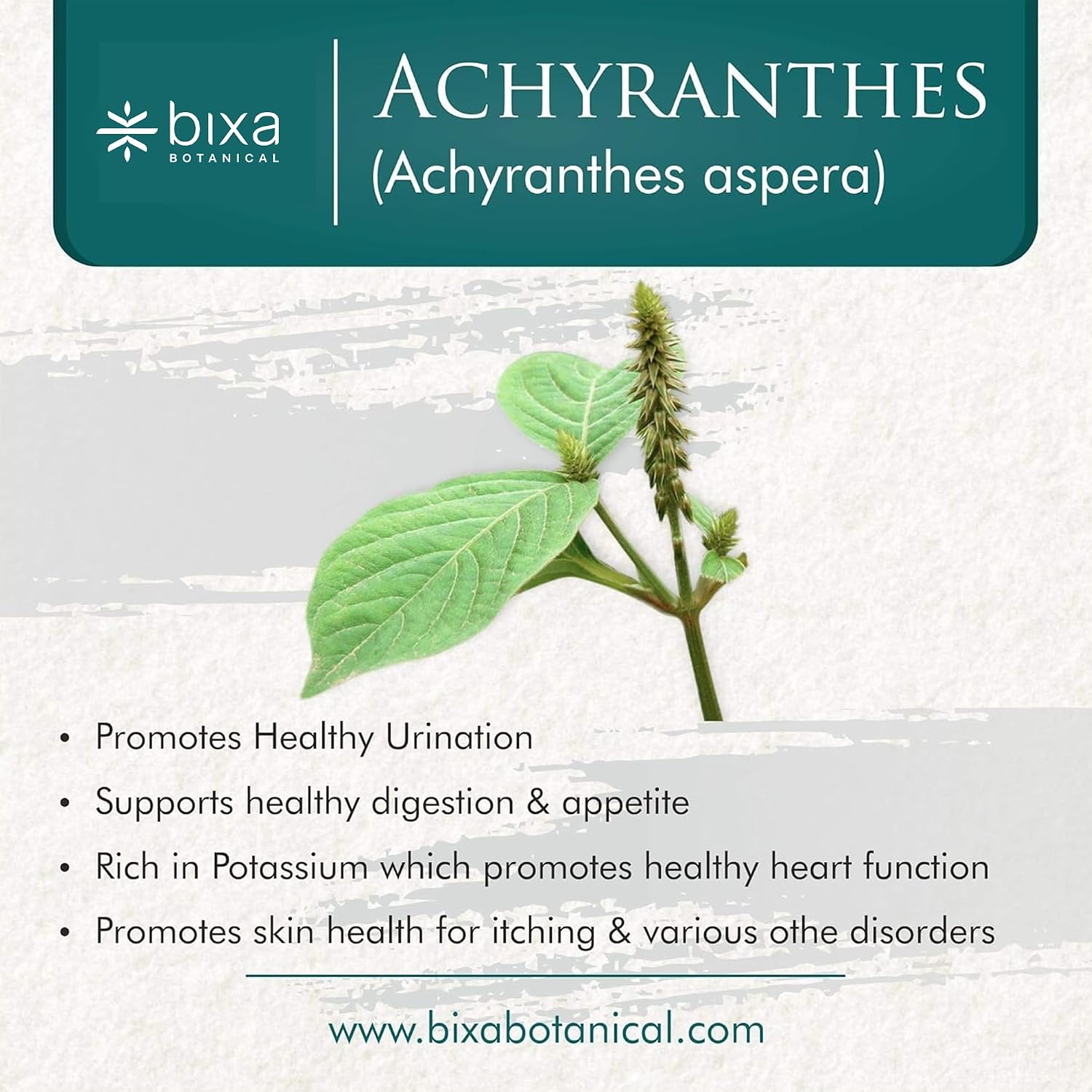 bixa BOTANICAL Achyranthes Aspera Powder | Apamarga | Suplemento Ayurvédico | 200 Gramos | Sin Gluten, No GMO, Tratado al Vapor, Vegano, 100% Puro