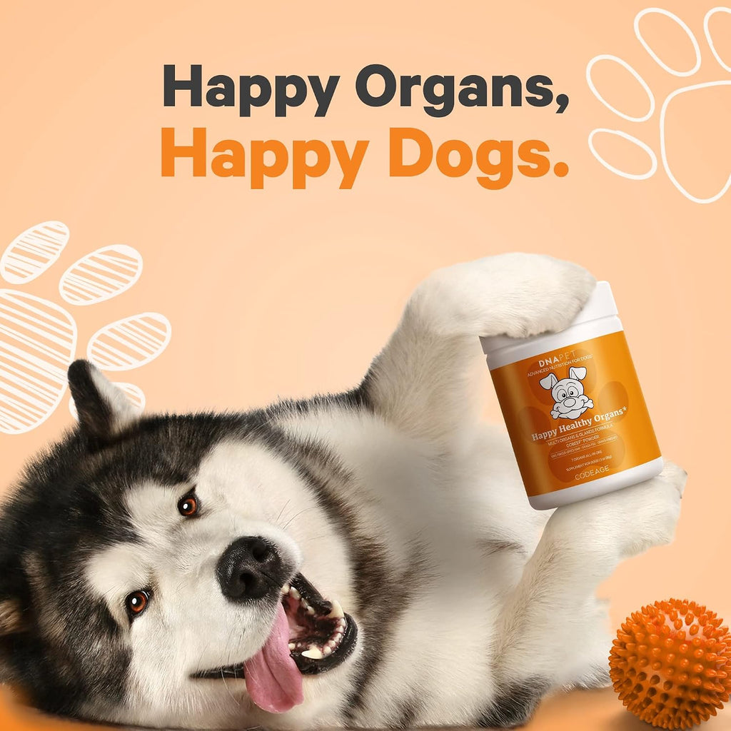 DNA PET Happy Healthy Órganos y Glándulas para Perros, Suplemento Multiorgánico de Hígado, Corazón, Riñón, Bazo, Páncreas, Médula Ósea y Timo Bovino, 85 g
