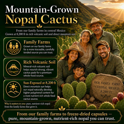 Natural Home Cures Cápsulas de Nopal Liofilizado, 500 mg, 120 Cápsulas Veganas (4 Envases) – Image 7