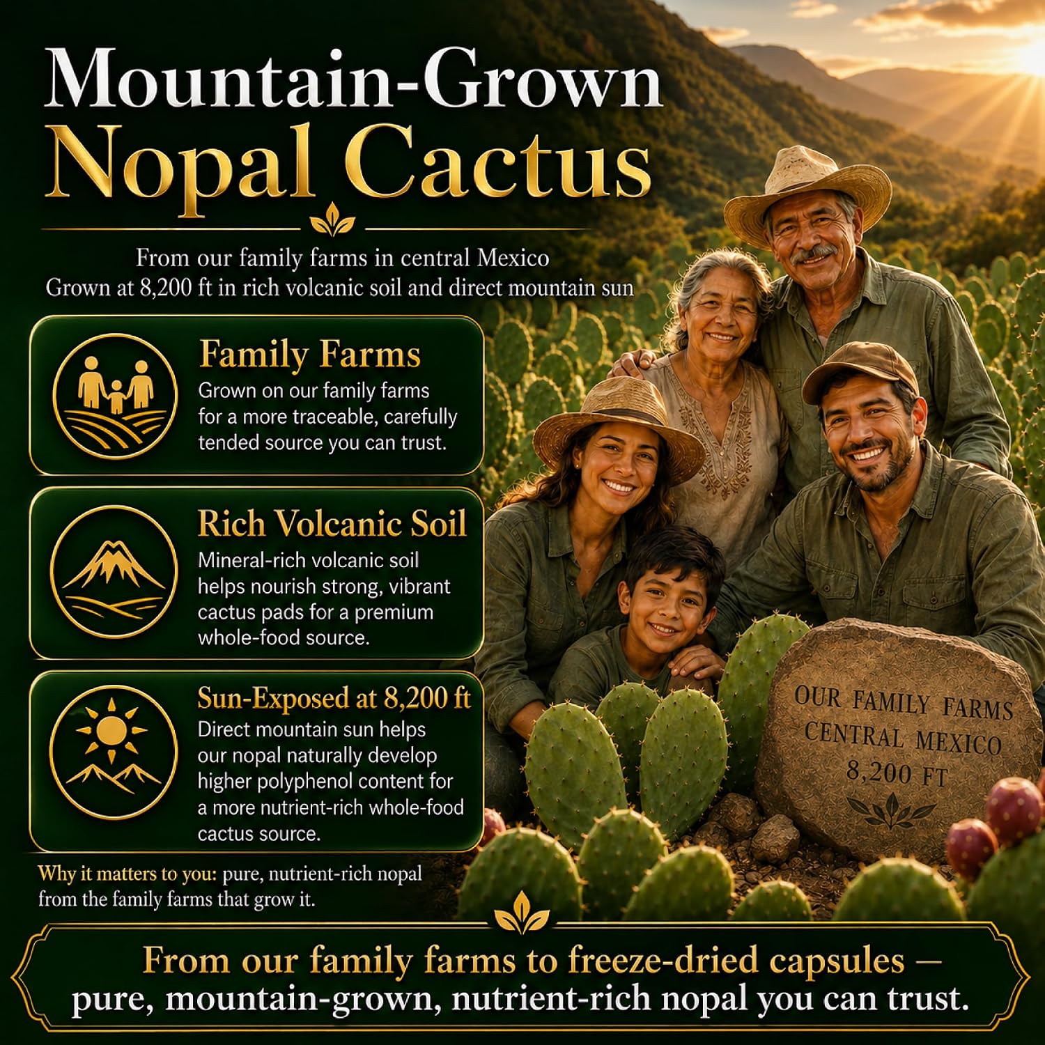Cápsulas Premium de Nopal Liofilizado - Cultivado en Montaña, Polvo de Tuna Entera, 500 mg, 120 Cápsulas Veganas (Paquete de 2)