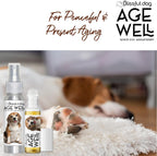 The Blissful Dog Beagle Edad Bien Spray de aromaterapia