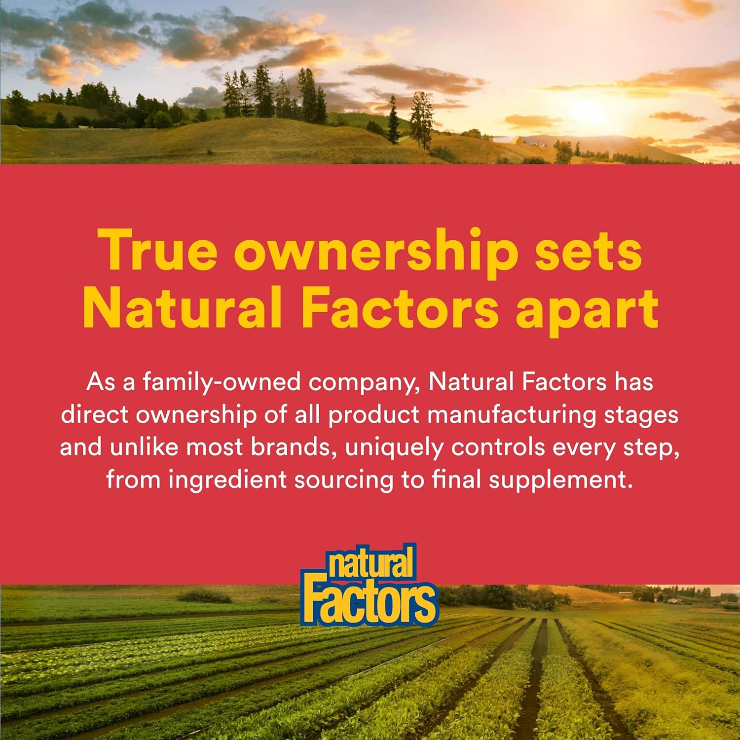 Natural Factors - Bioflavonoides Cítricos 650mg, Apoyo para el Uso de la Vitamina C, 90 Cápsulas