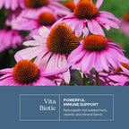 Eclectic Herb Vitabiotic Orgánico - Cápsulas de Apoyo Inmunológico (150 cápsulas, 750 mg)