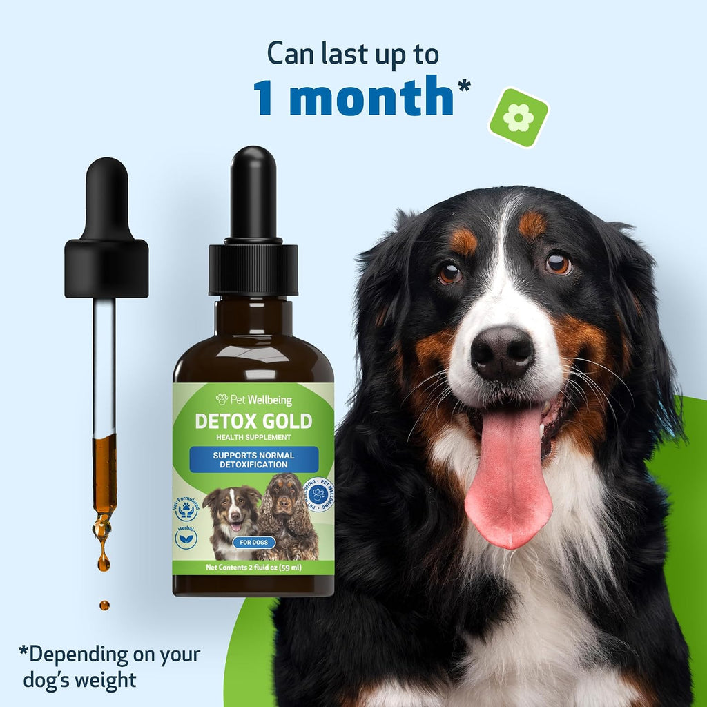 Pet Wellbeing Detox Gold for Dogs - Gentle Detox Herbal Supplement with Nettle, Blessed Thistle, and Burdock - 59 ml