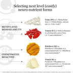 HCF A20 Multivitamin Nootropic Complex – 20 Premium Nutrients and Microbead Technology