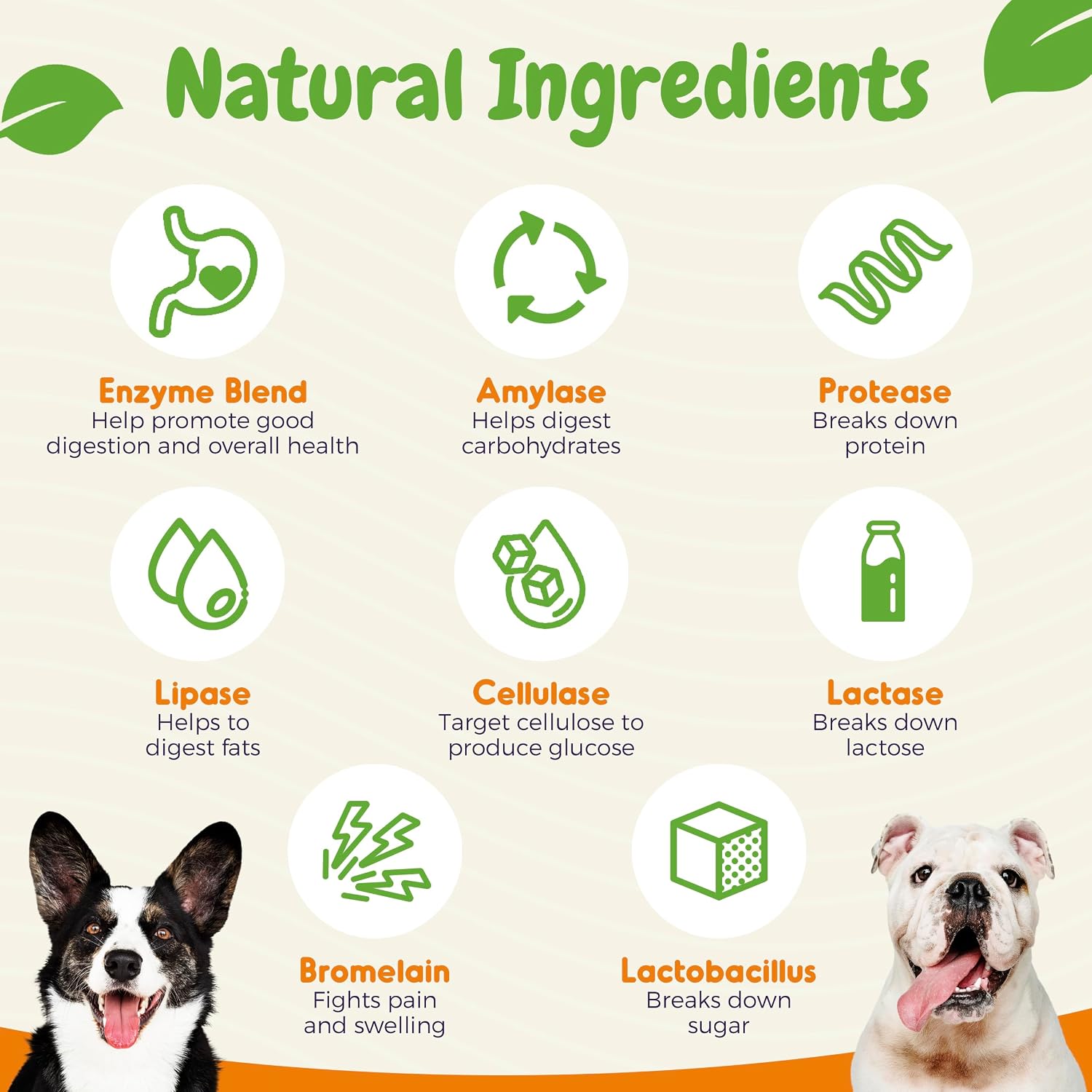 INNER PAW Probióticos para Perros con Enzimas Digestivas y Prebióticos – 120 Masticables Sabor Pollo