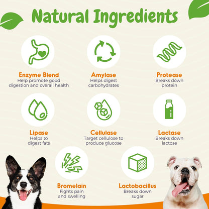 INNER PAW Probióticos para Perros con – Digestión saludable: Las enzimas digestivas y los probióticos pueden – Image 5