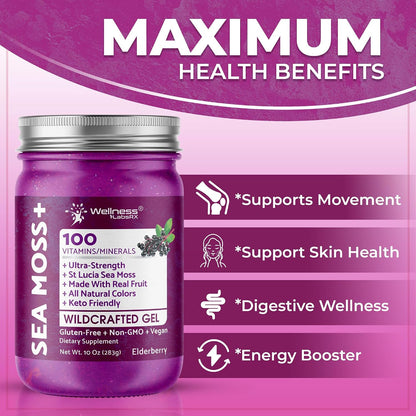 Gel de Musgo de Mar Irlandés - WELLNESS – Vitaminas del grupo B: como B12 y ácido fólico, que apoyan el – Image 5