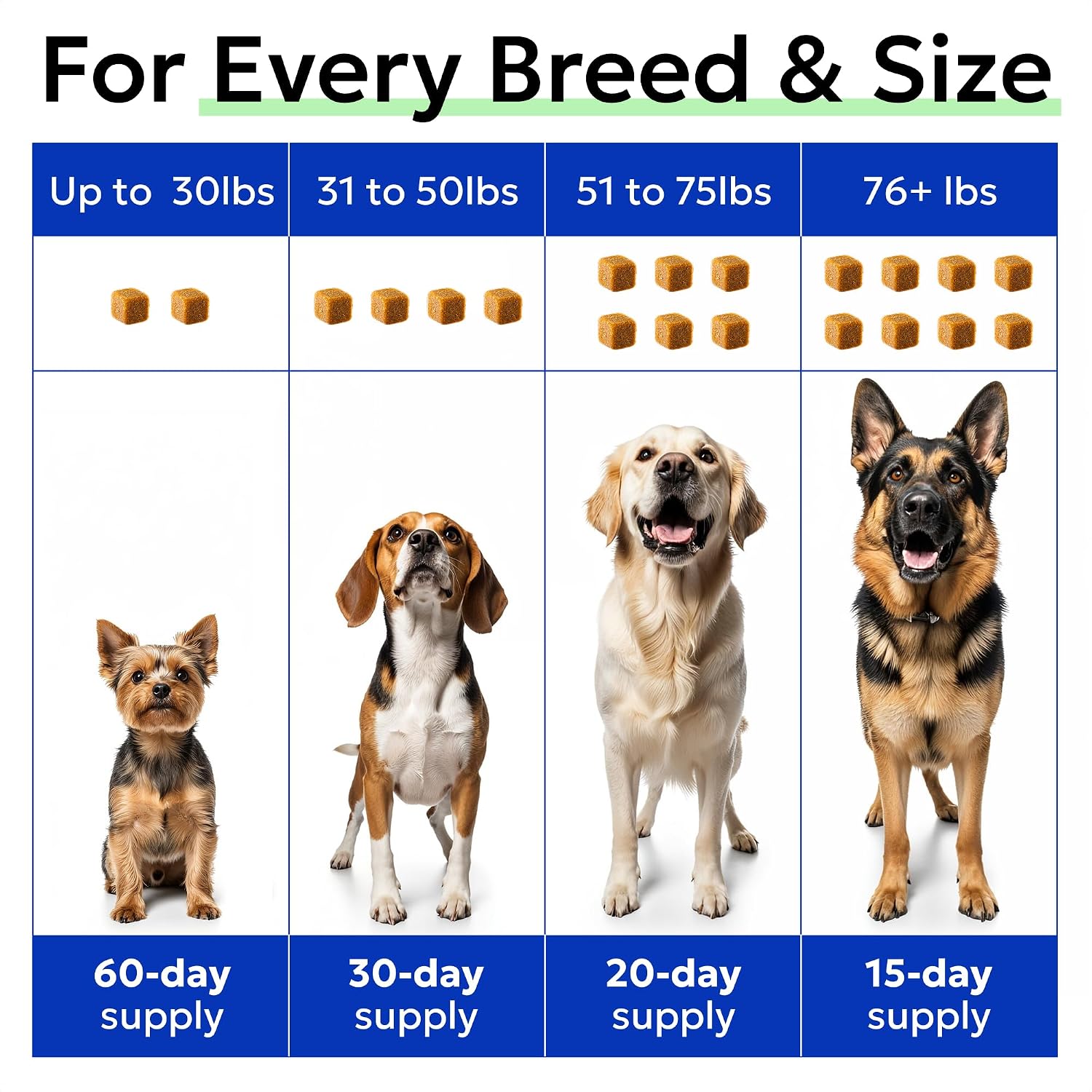 BARK&SPARK Multivitamínico para Perros con Glucosamina, Condroitina y Omega 3 - 120 Comprimidos