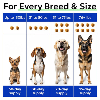 BARK&SPARK Multivitamínico para Perros con – Glucosamina: Componente estructural del cartílago, contribuye a la – Image 8