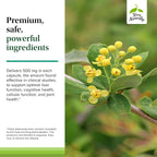 Terry Naturally Berberine - Suplemento de Berberina - 60 Cápsulas
