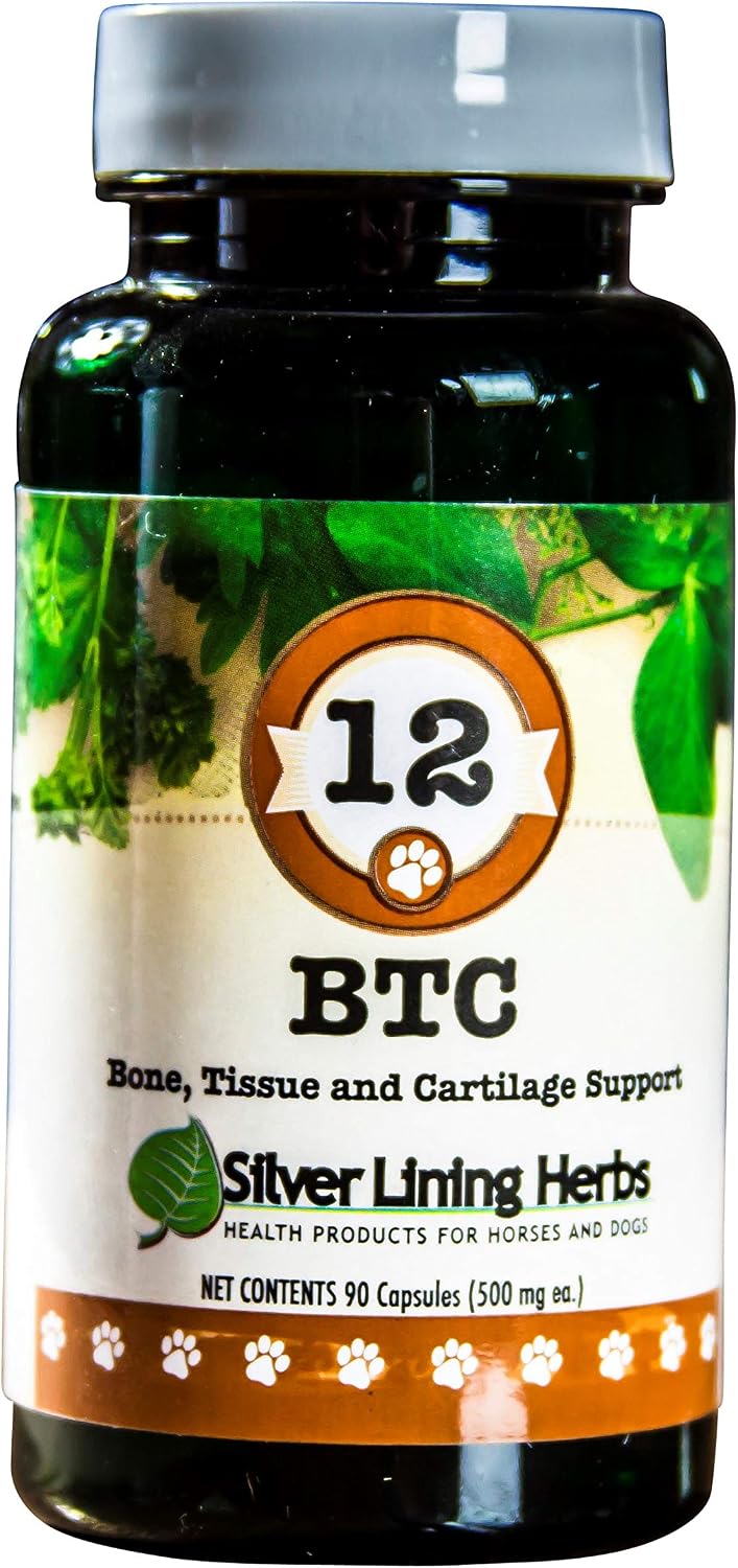 Silver Lining Herbs 12 Bone Tissue and Cartilage - Apoyo Estructural para Perros, 90 Cápsulas