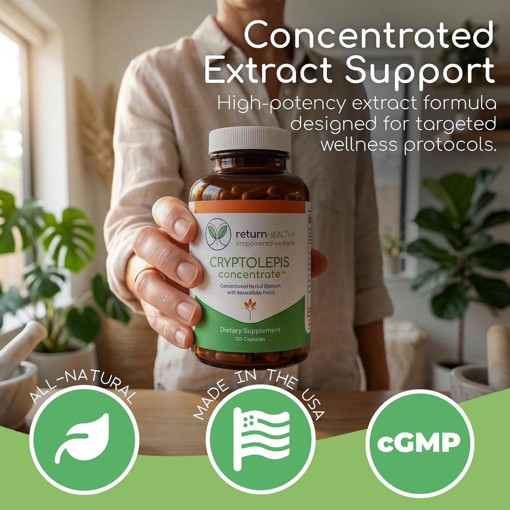 Return Healthy Cryptolepis Concentrate - 120 Cápsulas