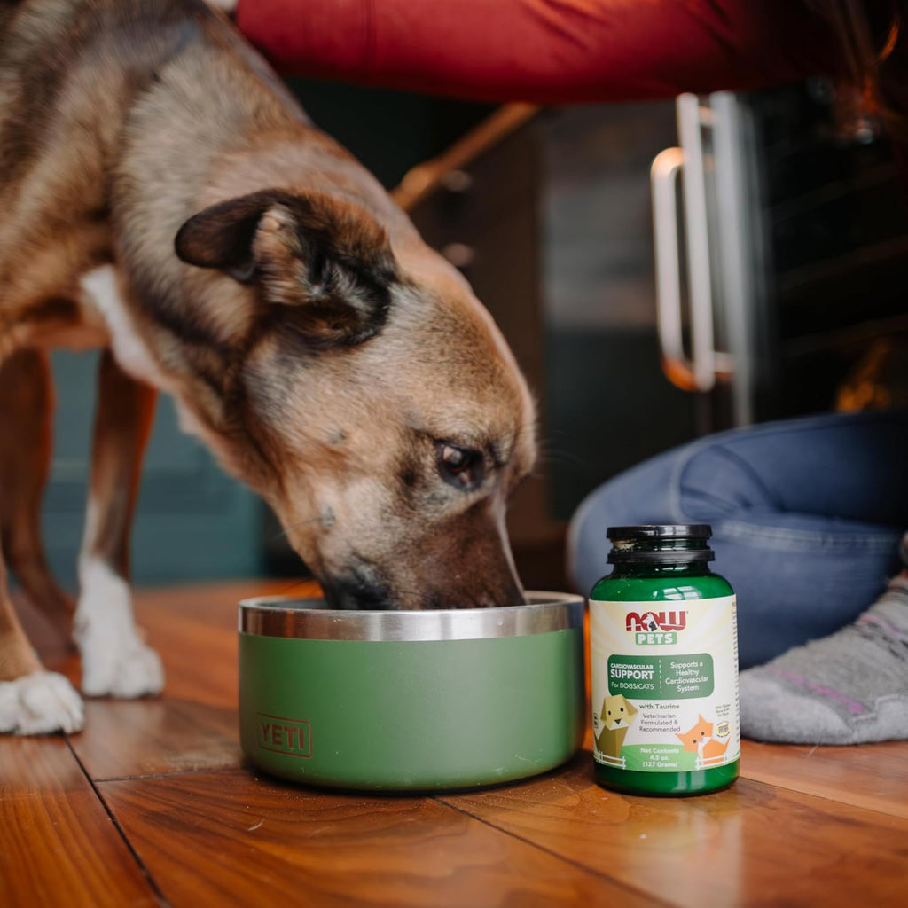 NOW Pet Health, Complemento de Apoyo Cardiovascular, Formulado para Gatos y Perros, Certificado NASC, Polvo, 127 g