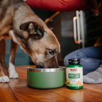 NOW Pet Health, Complemento de Apoyo Cardiovascular, Formulado para Gatos y Perros, Certificado NASC, Polvo, 127 g