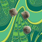 Kuli Kuli Super Energy Gummies - Suplemento Energético Natural con Moringa, Sin Cafeína - 60 Gominolas No GMO, Sin Gluten